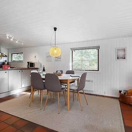 Bv384-blavand-hedevej-47 Tatil Evi