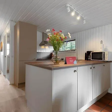 Bv384-blavand-hedevej-47 *