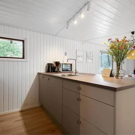 Bv384-blavand-hedevej-47 * Blåvand