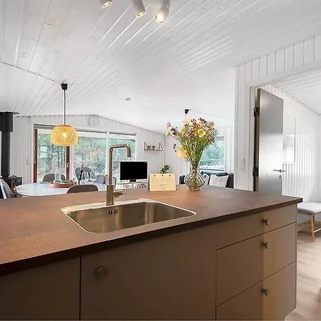 Tatil Evi Bv384-blavand-hedevej-47 Blåvand